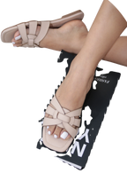 PIERINA